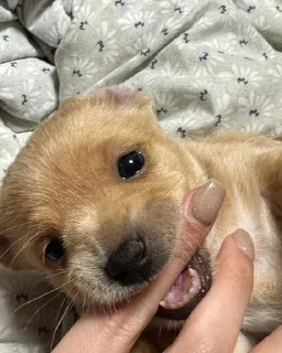 😄