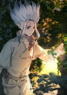 ✨