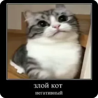 👺