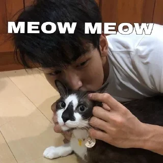 🌟