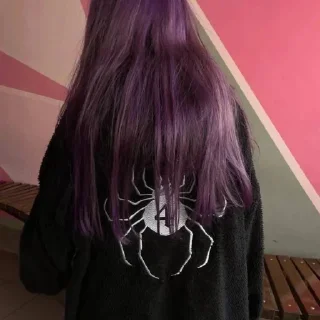 🕷