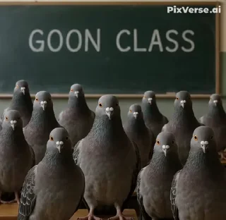 🤩