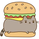 🐱