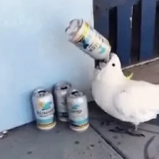 🍺