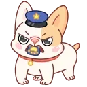 👮