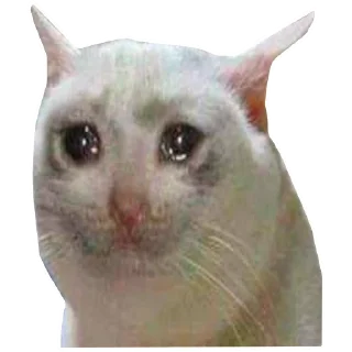 😪