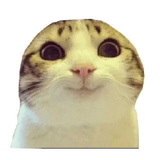 🙂