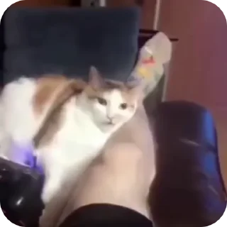😬