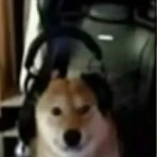 🎧