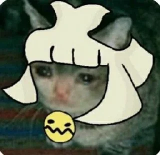 🌟