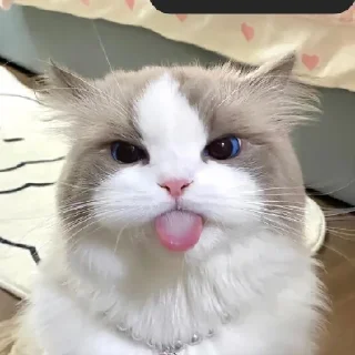 😝