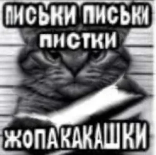 🫣
