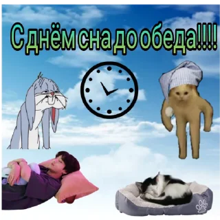 💤