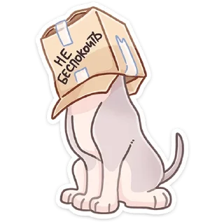 📦