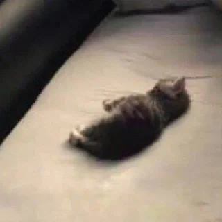 😴