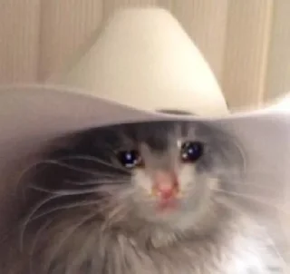 🥺