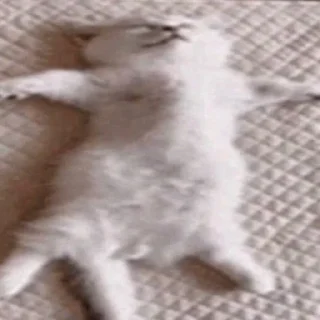 😵‍💫