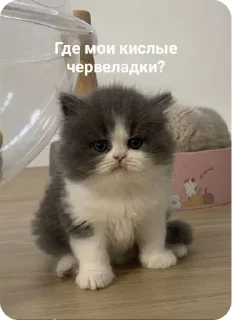 😡