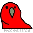 😂
