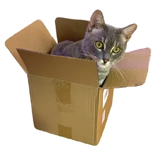 😼