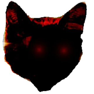 😾