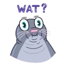 ❓