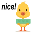 🐥