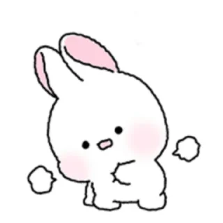 🐇