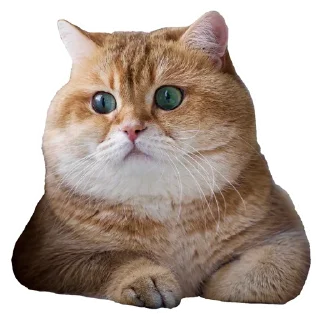 😙