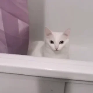 😕