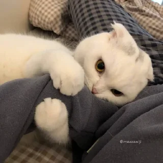 😍
