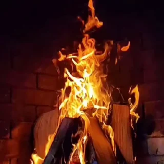 🌟