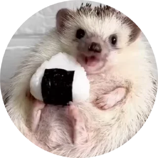 🦔