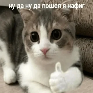 😢