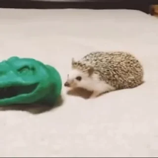 🦖