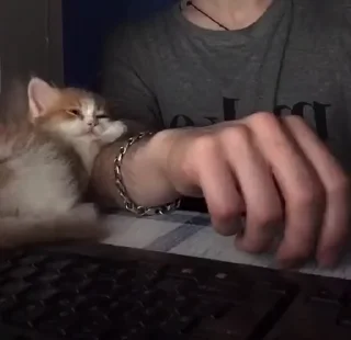 😴