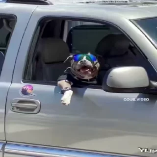 😎
