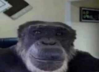 👨‍🦳