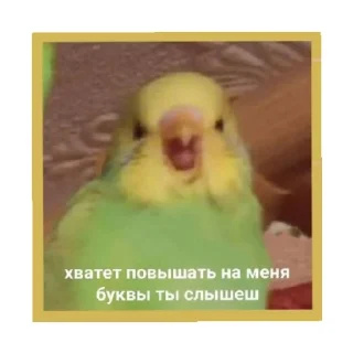 😠