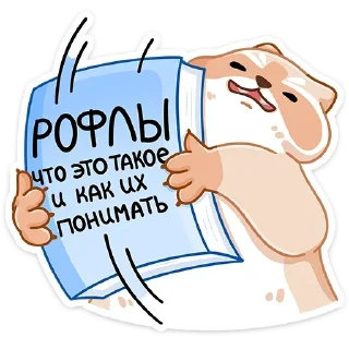 📖