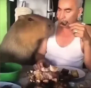 😋