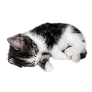 😴