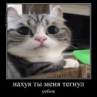 😠