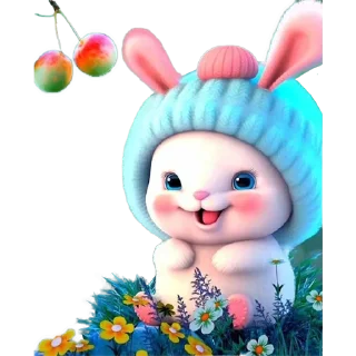 🐰
