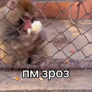🤬