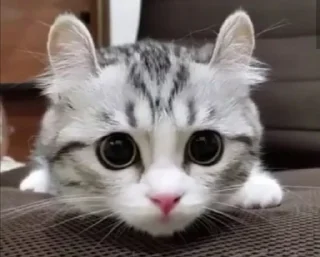 👀
