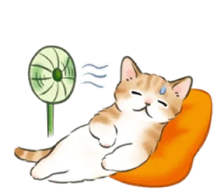 🐱