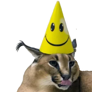 🥳