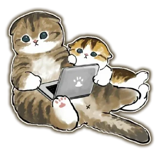 🐱