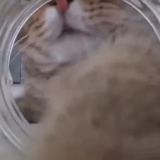 😁